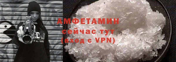 сатива Богданович