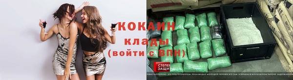 дурь Богородицк