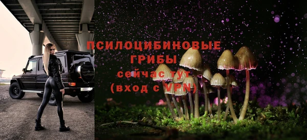 сатива Богданович