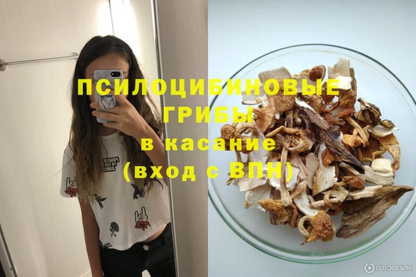 сатива Богданович