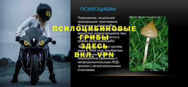 сатива Богданович