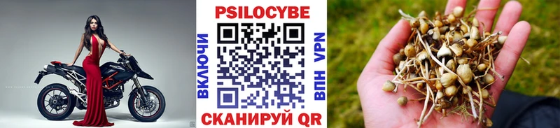 нарко площадка наркотические препараты  блэк спрут как зайти  Вуктыл  Псилоцибиновые грибы GOLDEN TEACHER 