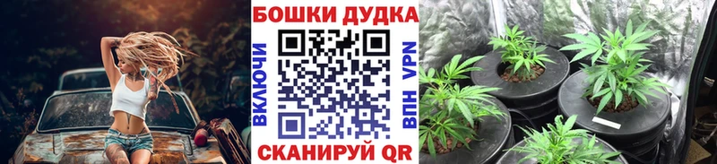Канабис семена Вуктыл